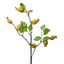 Rami Artificiali Decorativi Giallo Verde 10x8x50 cm