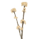 Deko Ast mit Blumen Weiß Grün 6x6x58 cm
