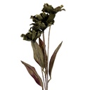 Decorative Artificial Branch with flowers Green 8x5x60 cm