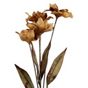 Rami Artificiali Decorativi con fiori Marrone Verde 8x5x60 cm