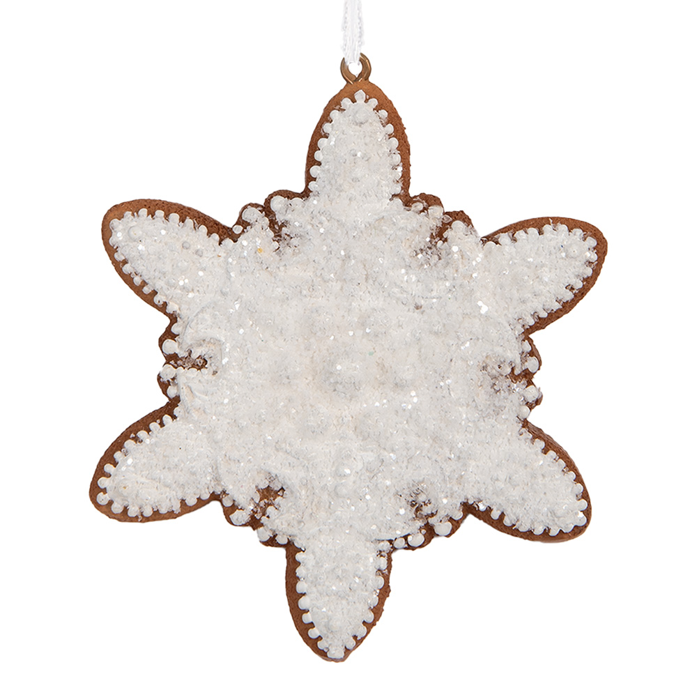 [6PR5352] Decoratie hanger sneeuwvlok 9x1x10 cm
