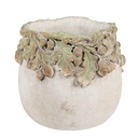 Blumentopf für Innen Beige Grün Ø 15x13 cm