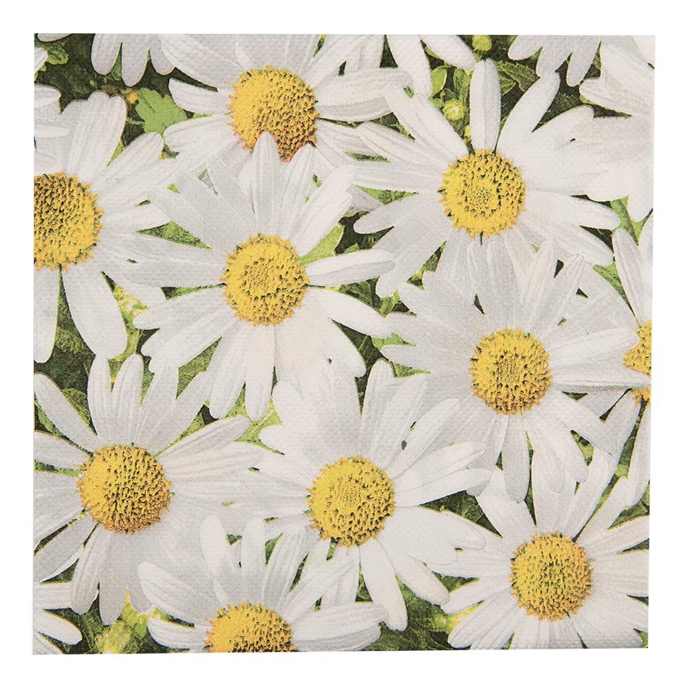 [73076] Papierservietten Weiß Gelb 33x33 cm (20)