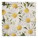 Serviettes en papier Blanc Jaune 33x33 cm (20)