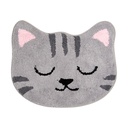 Bath mat Grey 60x50x1 cm
