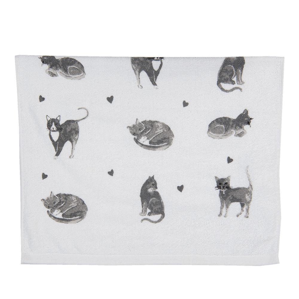 [CTCAK] Serviette d'invité Beige 40x66 cm