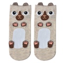 Socks Beige White 36-41