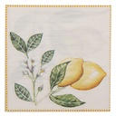 Papieren servetten 33x33 cm (20)