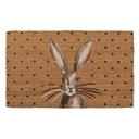 Deurmat 75x45x1 cm