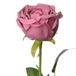 [6PL0369DP] Fiori Finti Rose Rosa Verde 9x9x61 cm