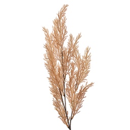[5PL0053] Deko Ast Beige 10x4x75 cm