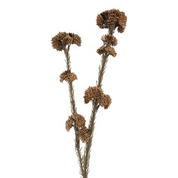 [6PL0399CH] Decorative Artificial Branch with flowers Brown Green 6x6x58 cm