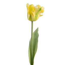 [5PL0385Y] Decoratie tak met bloemen 61 cm