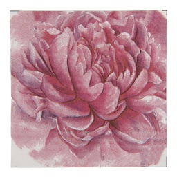 [73123] Papieren servetten 33x33 cm (20)