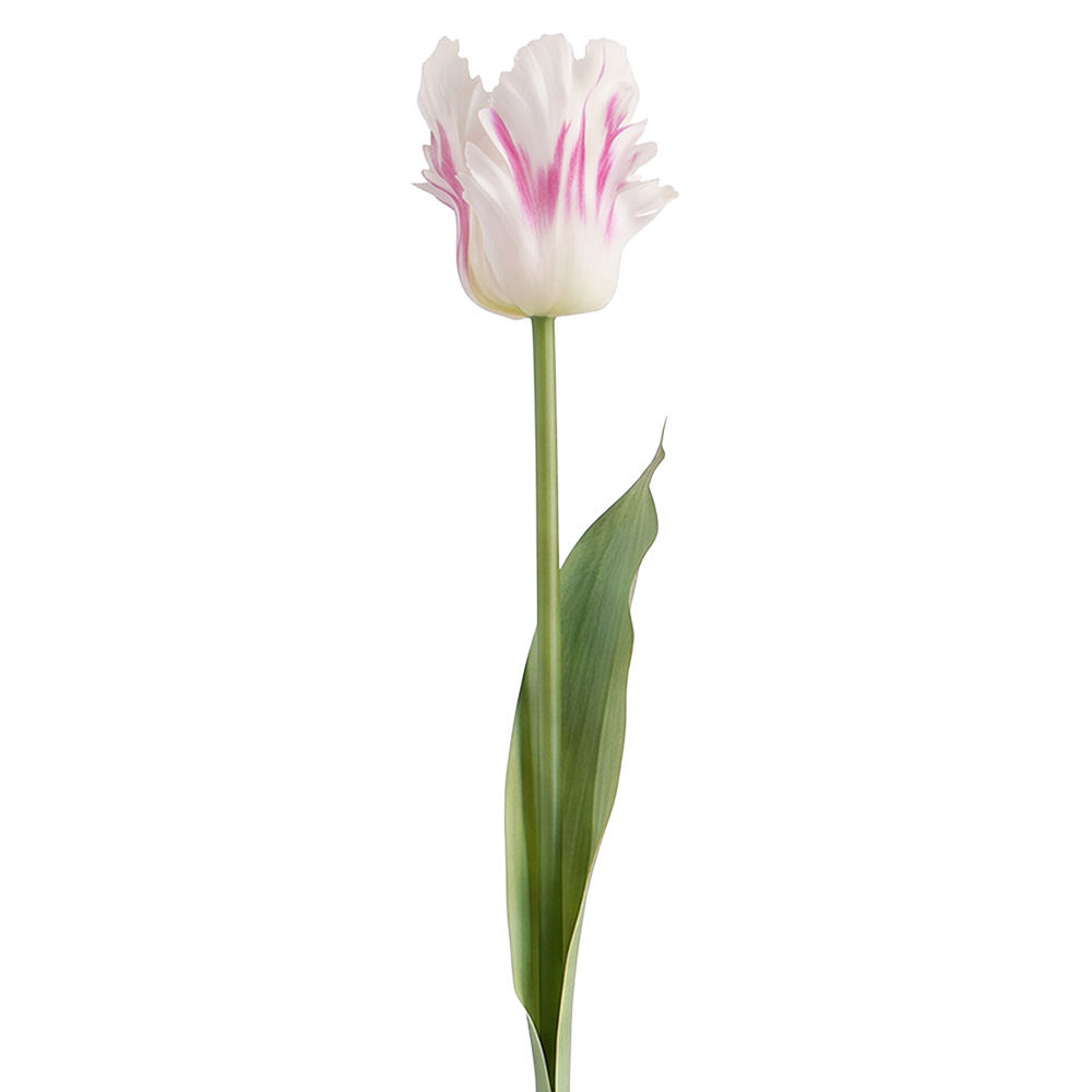 Decoratie tak met bloemen 61 cm