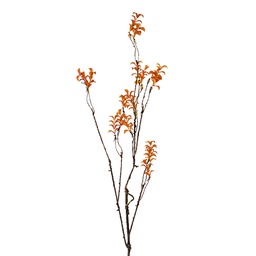[5PL0184] Deko Ast Orange Braun 18x5x110 cm