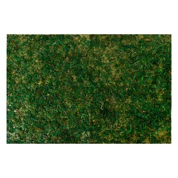 [66121] Moss Mat Green 60x40x1 cm