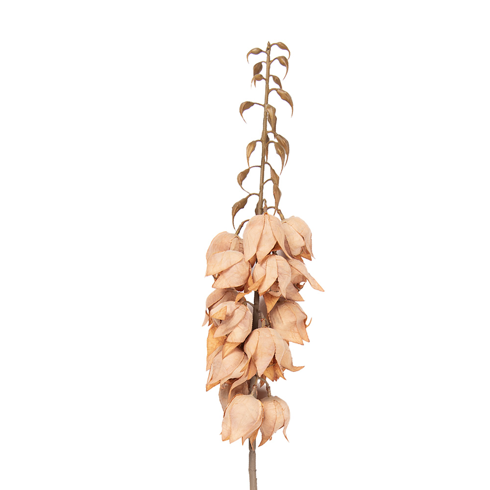 Decoratie tak met bloemen 12x12x100 cm