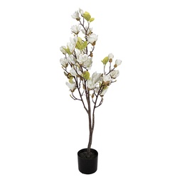 [5PL0208W] Arbre Magnolia décoration Blanc Vert 20x15x120 cm