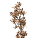 Branche de décoration avec fleurs Beige Vert 10x10x95 cm