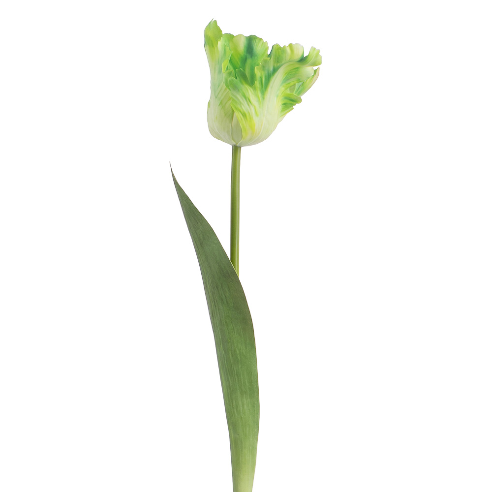Branche de décoration avec fleurs Vert 61 cm