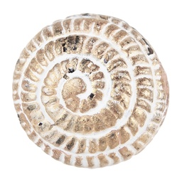 [64179] Pomello per Porta Marrone Beige Ø 4x4 cm / S3 cm