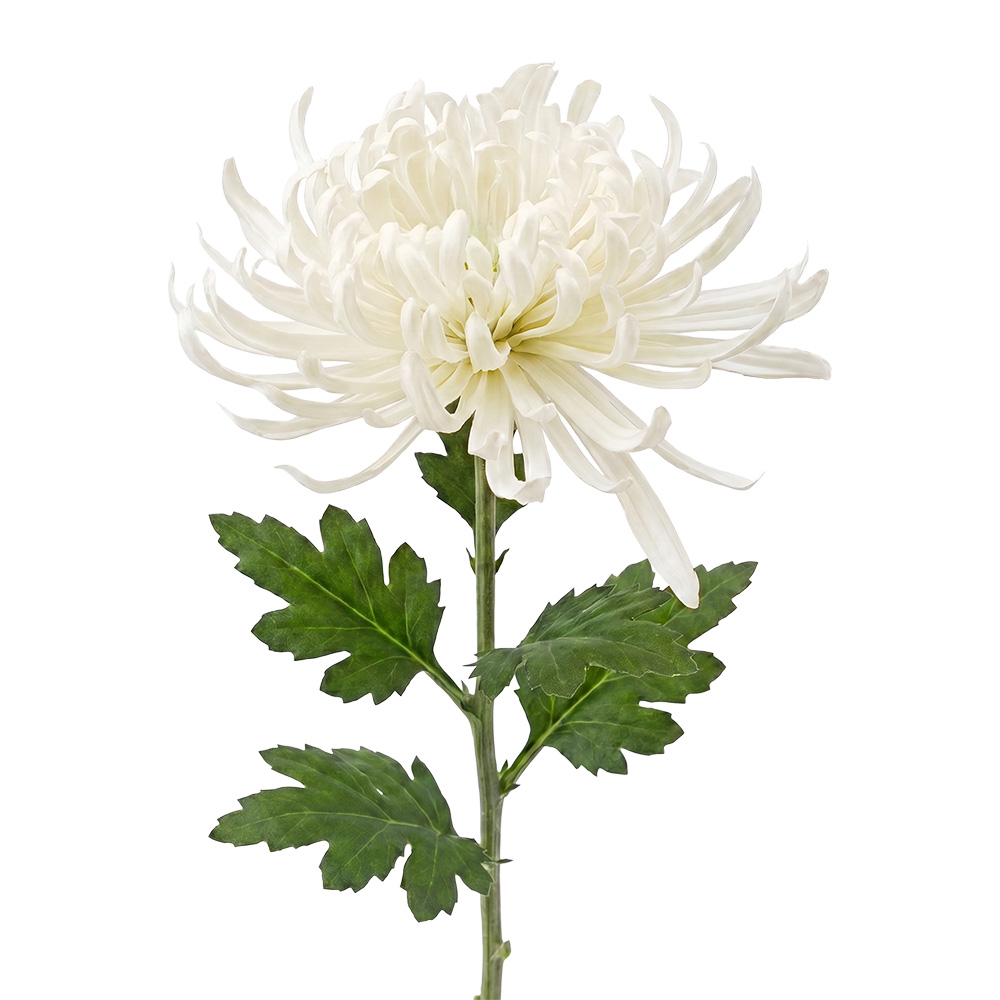 Decoratie tak met bloemen 76 cm