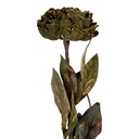 Fleur artificielle Vert 10x10x65 cm