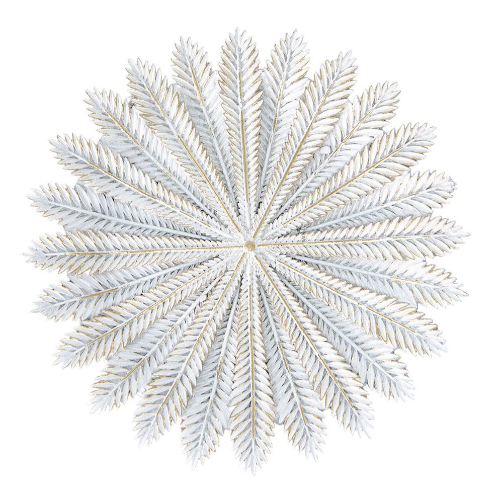 Decoratieve schaal Ø 20x2 cm
