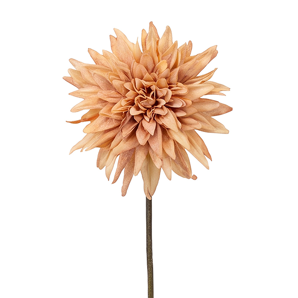 Branche décorative avec fleurs Marron 50 cm