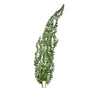 Rami Artificiali Decorativi Verde 10x5x77 cm