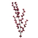 Decoratie tak met bloemen 6x6x102 cm