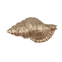 Türknopf Goldfarbig 8x4x5 cm / S3 cm