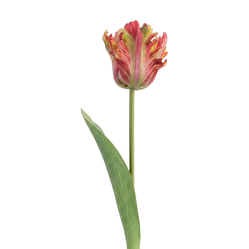 Decoratie tak met bloemen 61 cm