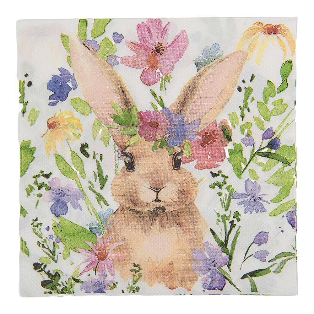 Serviettes en papier Blanc Marron 33x33 cm (20)