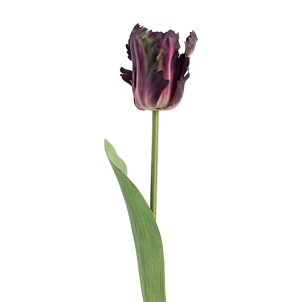 Branche de décoration avec fleurs Violet Vert 61 cm