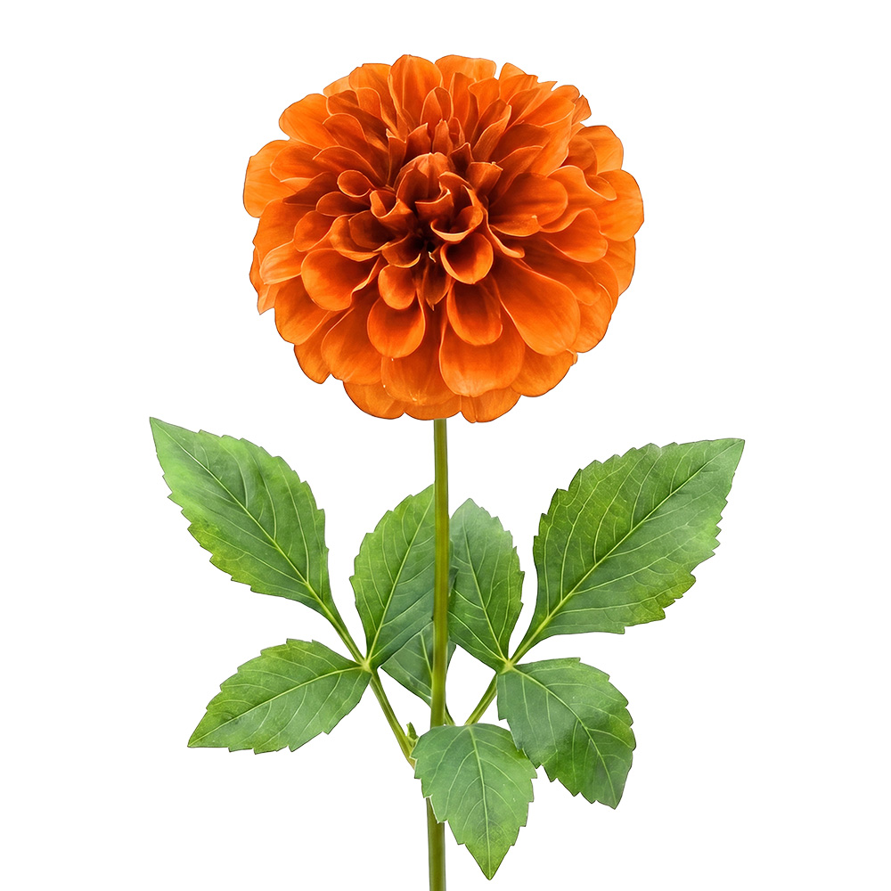 Branche de décoration avec fleurs Orange Vert 65 cm
