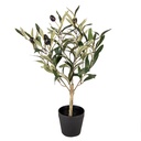 Decoratie olijf boom 15x15x50 cm