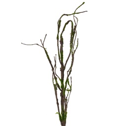[5PL0186] Deko Ast Braun Grün 28x5x130 cm
