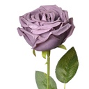 Fiori Finti Rose Viola Verde 9x9x61 cm
