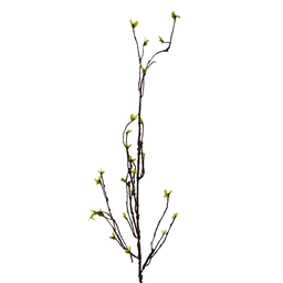 [5PL0182] Deko Ast Grün Braun 8x5x116 cm