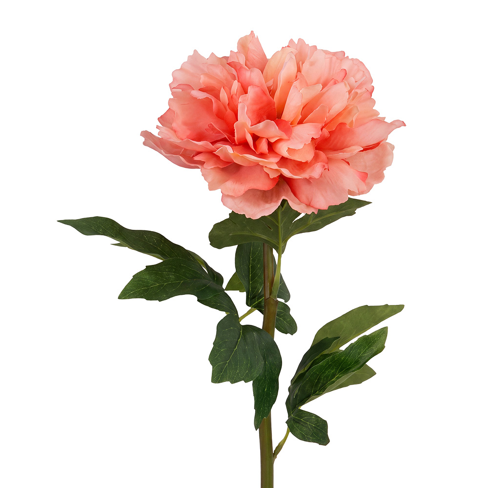 Branche de décoration avec fleurs Rose Vert 52 cm