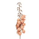 Decorative Artificial Branch with flowers Orange Brown 12x12x100 cm