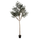 Decorative Olive tree Green Beige 120x80x240 cm