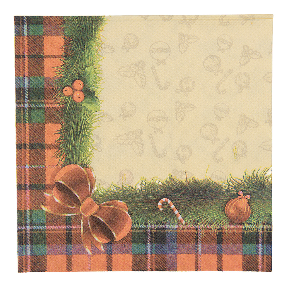 Papieren servetten 33x33 cm (20)
