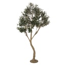 Decorative Olive tree Green Beige 140x130x250 cm