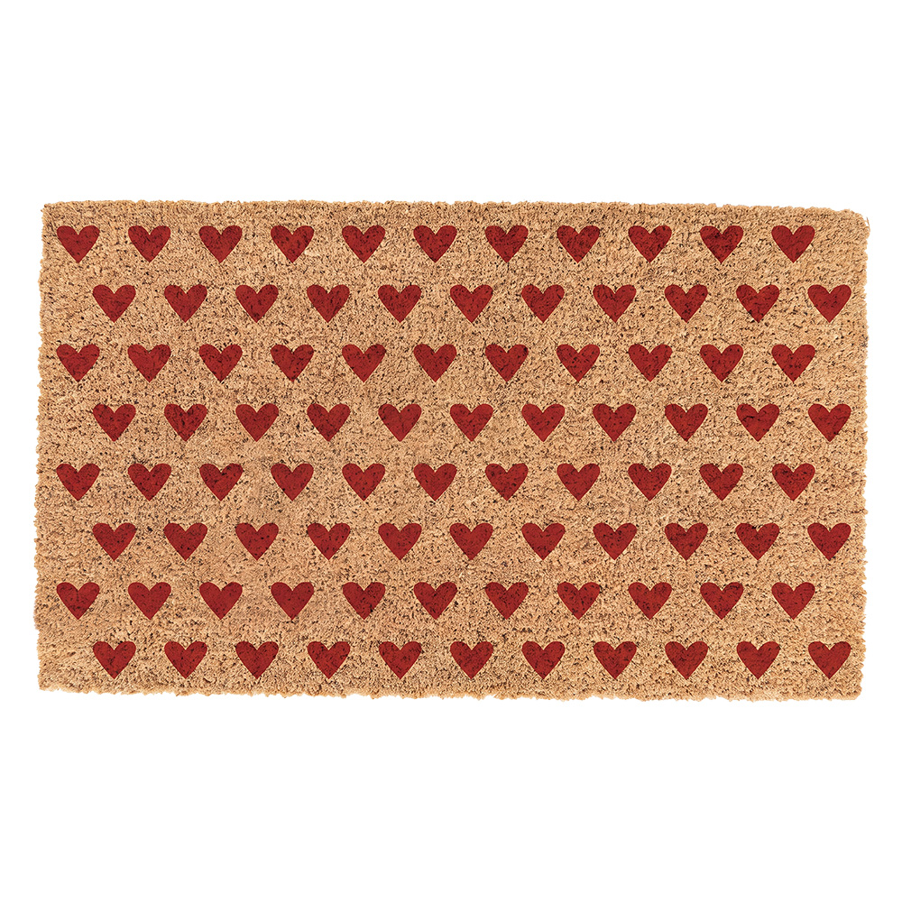 Paillasson intérieur Marron Rouge 75x45x1 cm