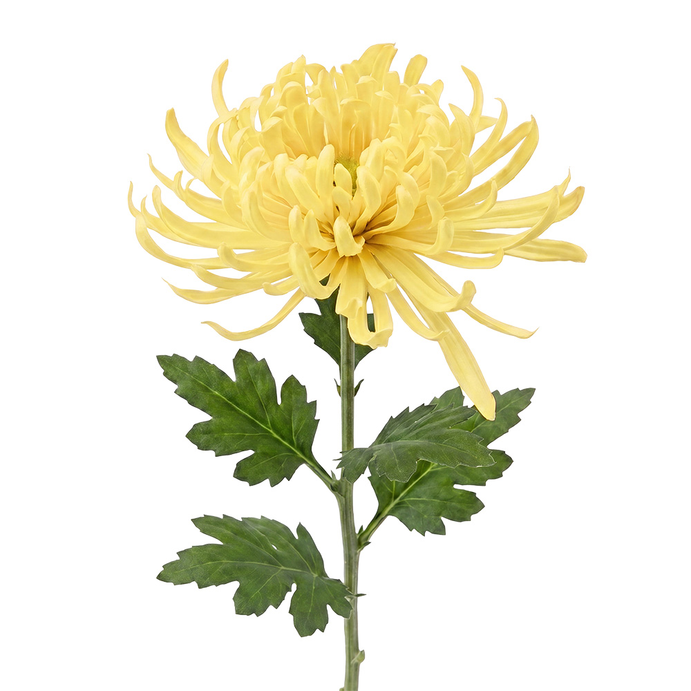 Branche décorative avec fleurs Beige Vert 76 cm