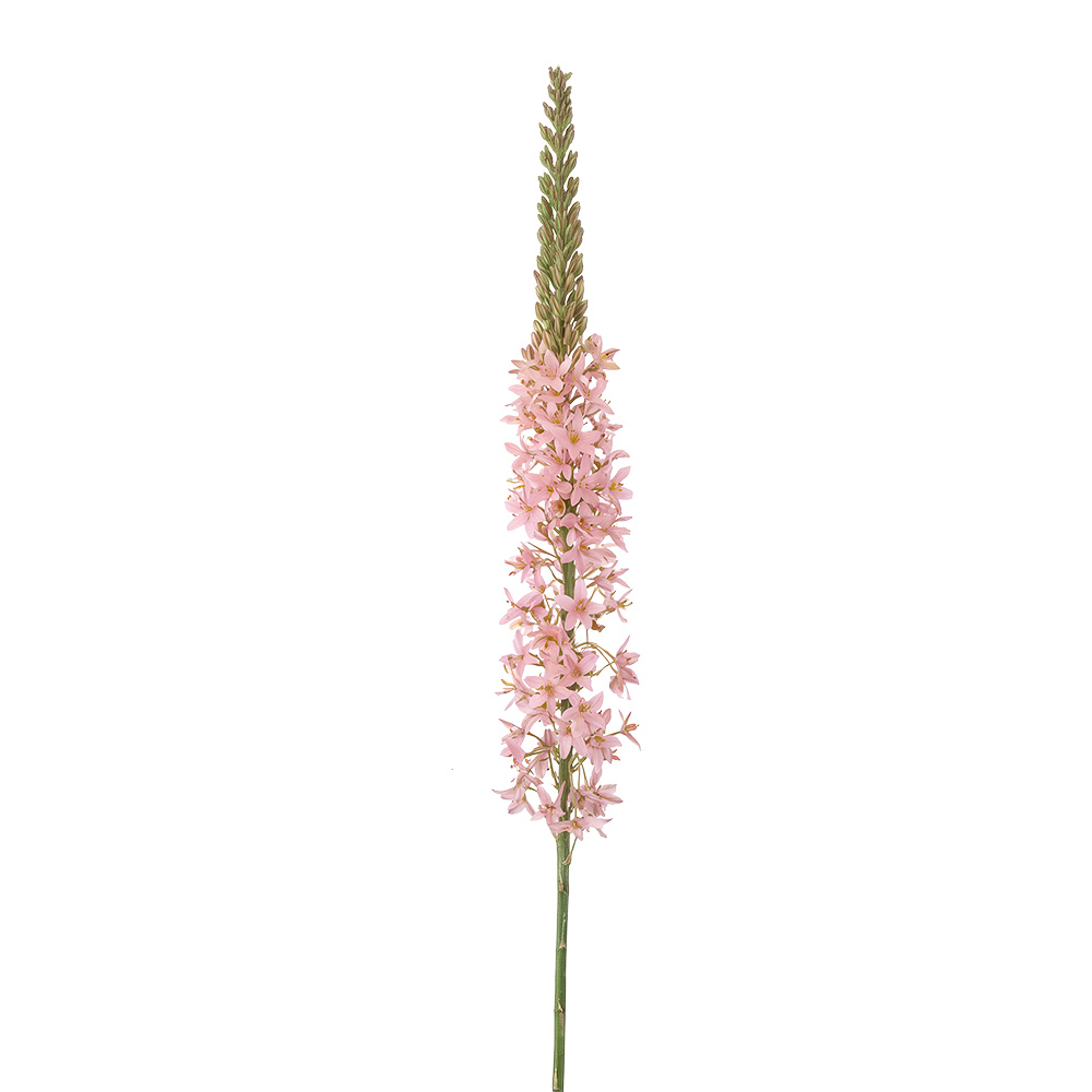 Decoratie tak met bloemen