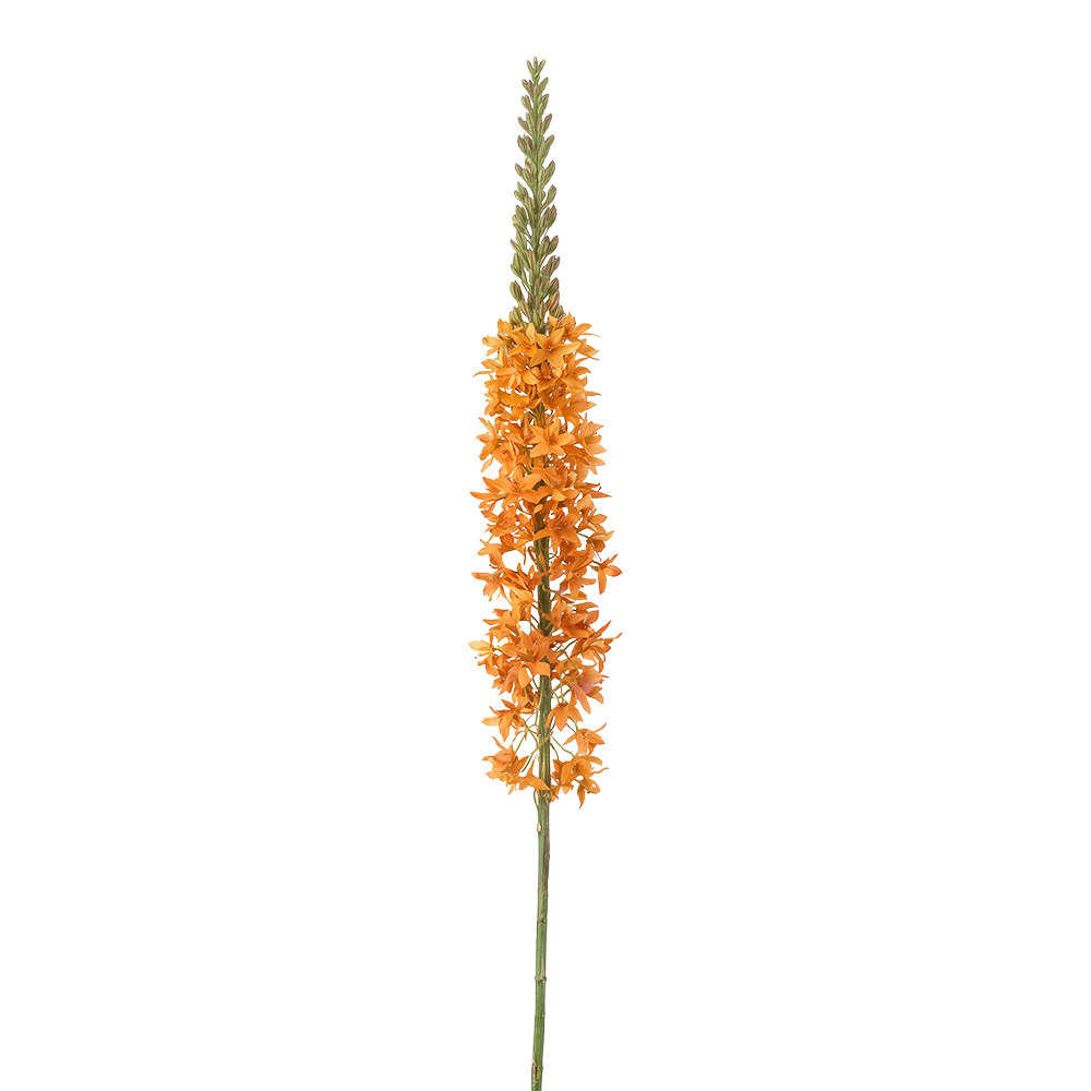 Dekorativer Zweig mit Blumen Orange Grün